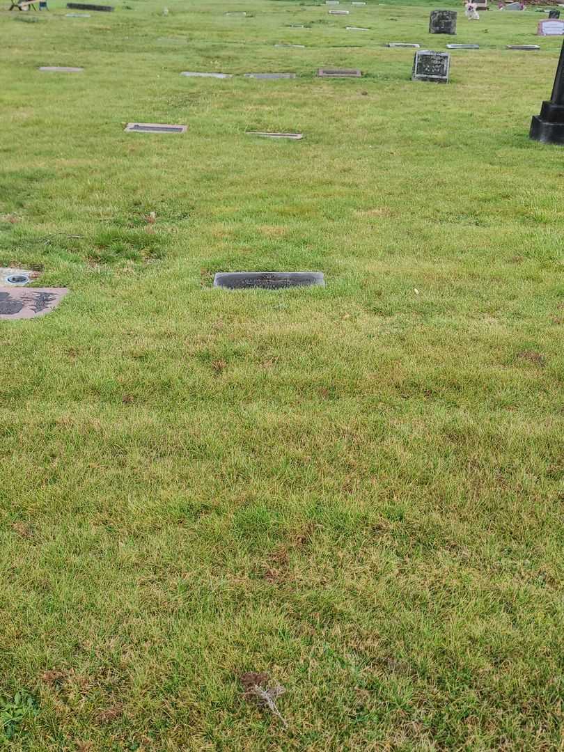 Charles Homer Nelson's grave. Photo 1