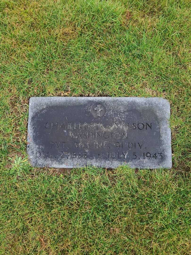 Charles Homer Nelson's grave. Photo 1