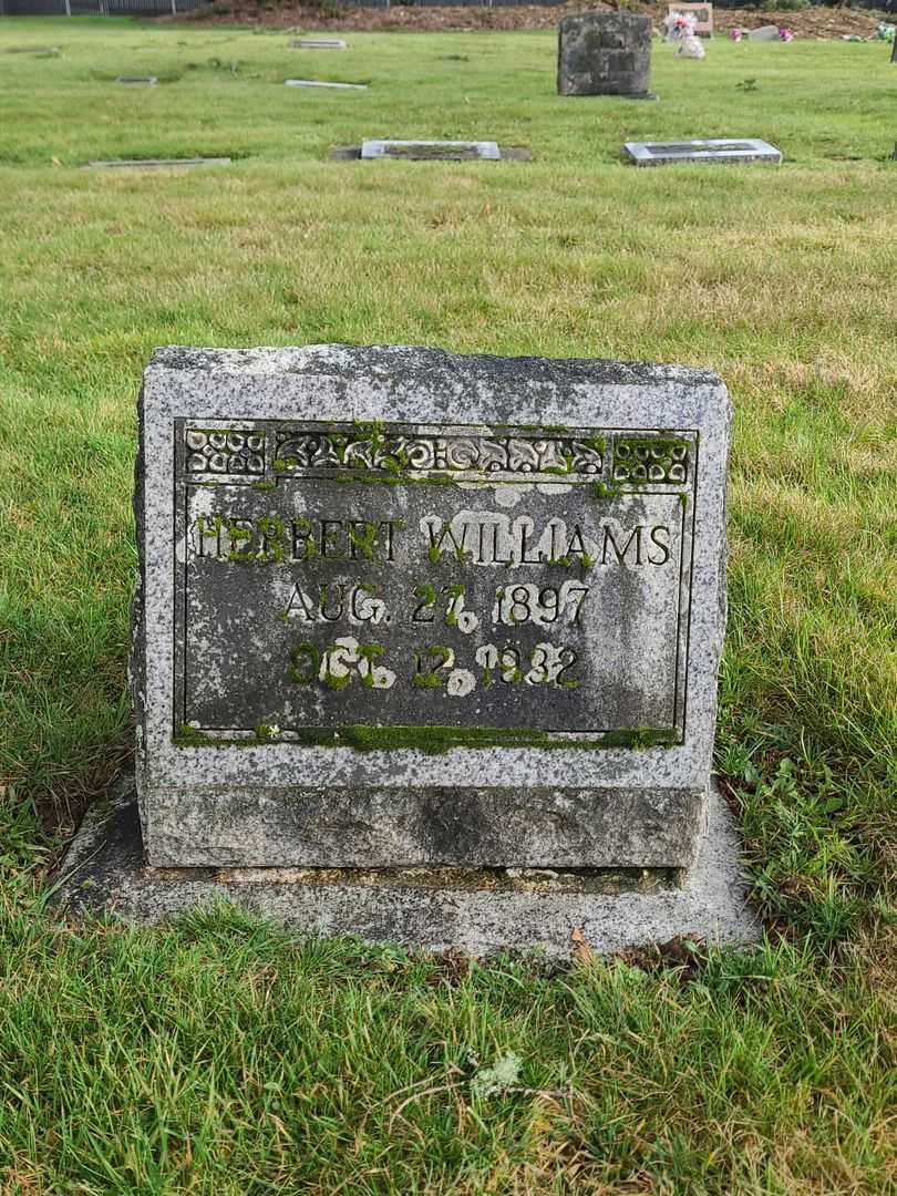 Herbert Williams's grave. Photo 2