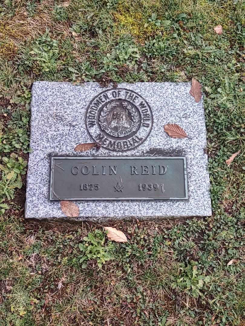Colin Reid's grave. Photo 1
