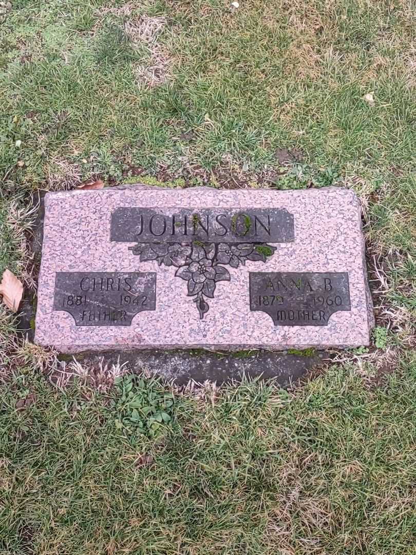 Anna B. Johnson's grave. Photo 2