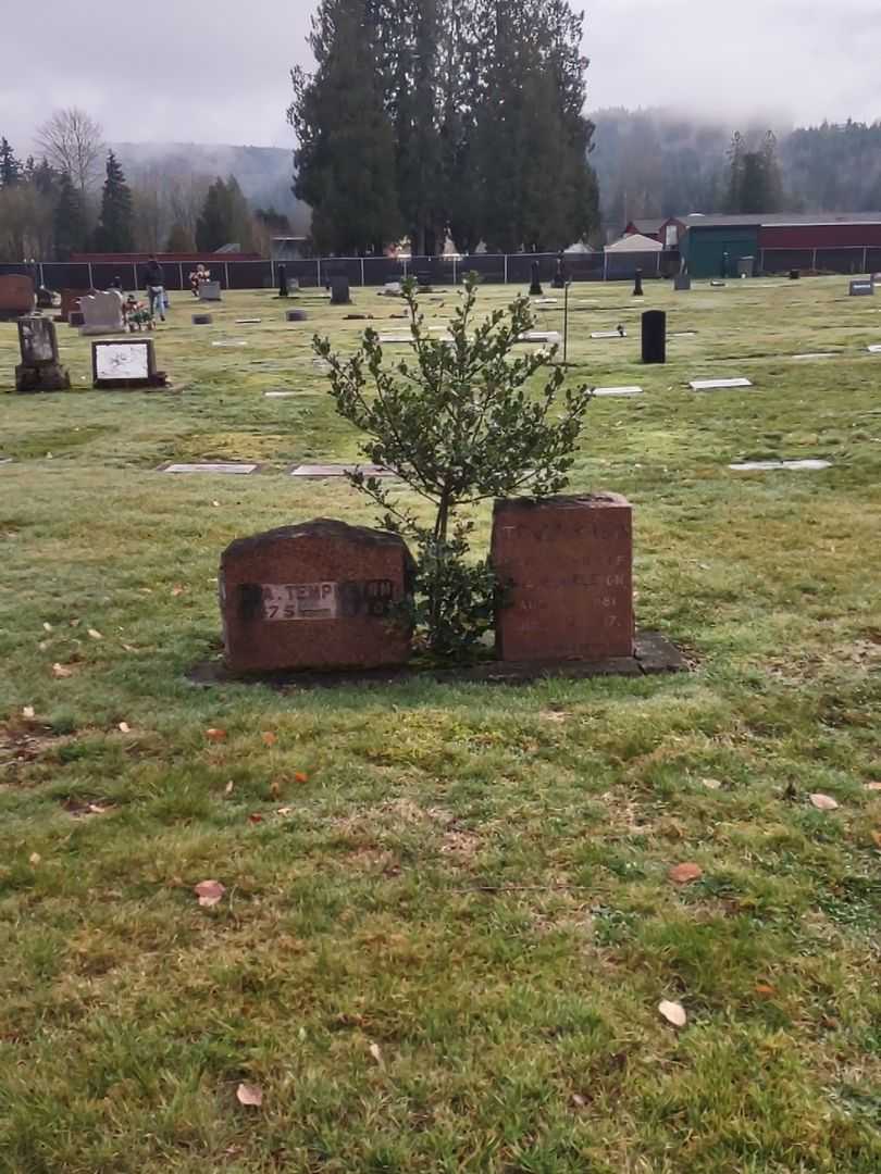 Henry A. Templeton's grave. Photo 2