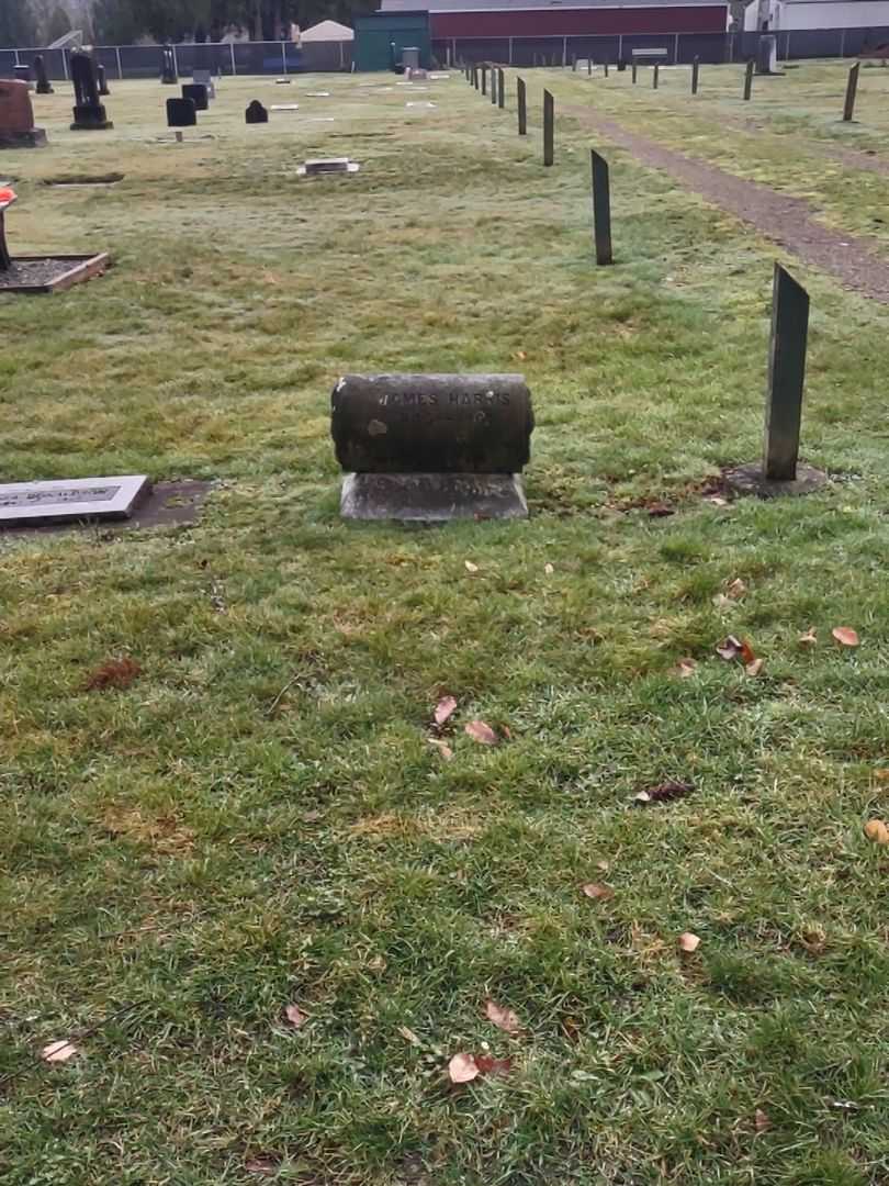 James Harris's grave. Photo 2