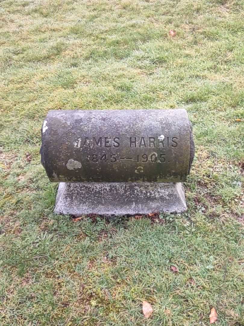 James Harris's grave. Photo 2