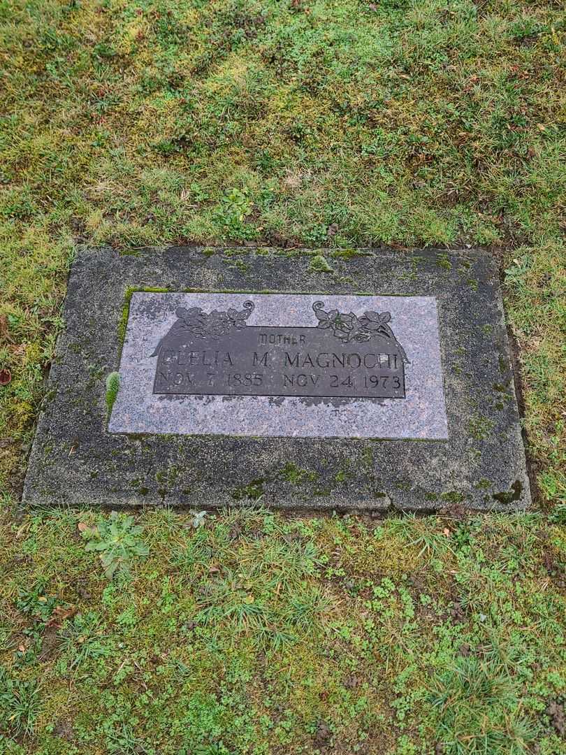 Clelia M. Magnochi's grave. Photo 2