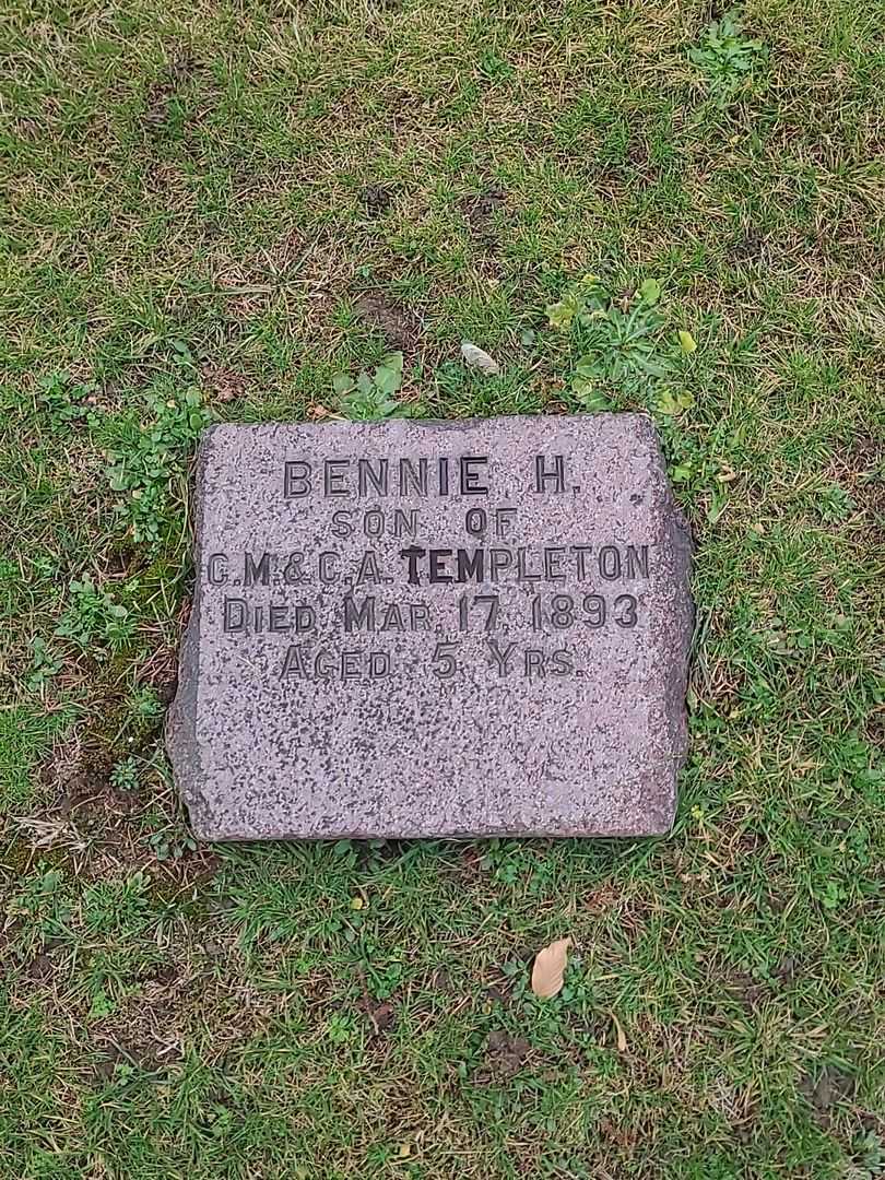 Bennie H. Templeton's grave. Photo 3