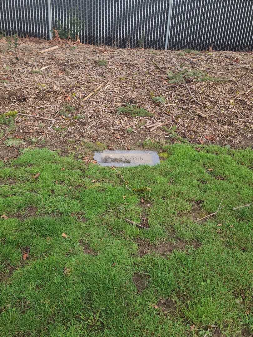 John David Johnson's grave. Photo 2