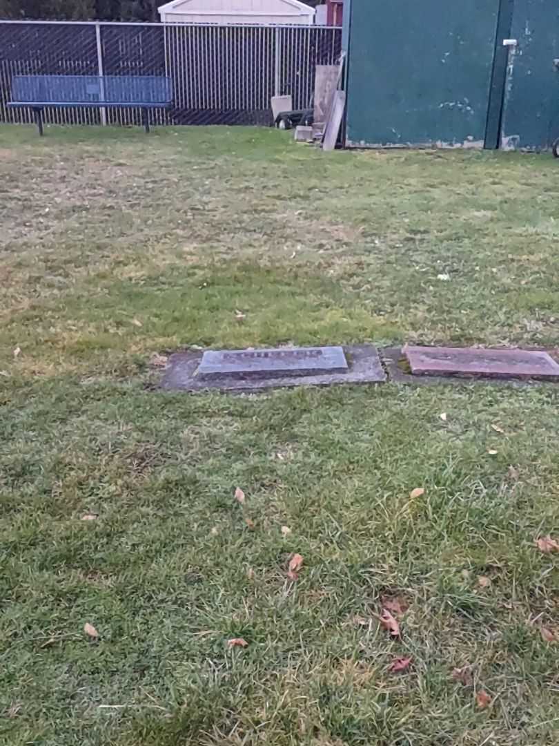 Alfred S. Scheffer's grave. Photo 1