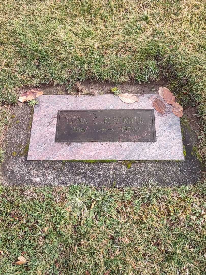 Edna Kleckner's grave. Photo 1