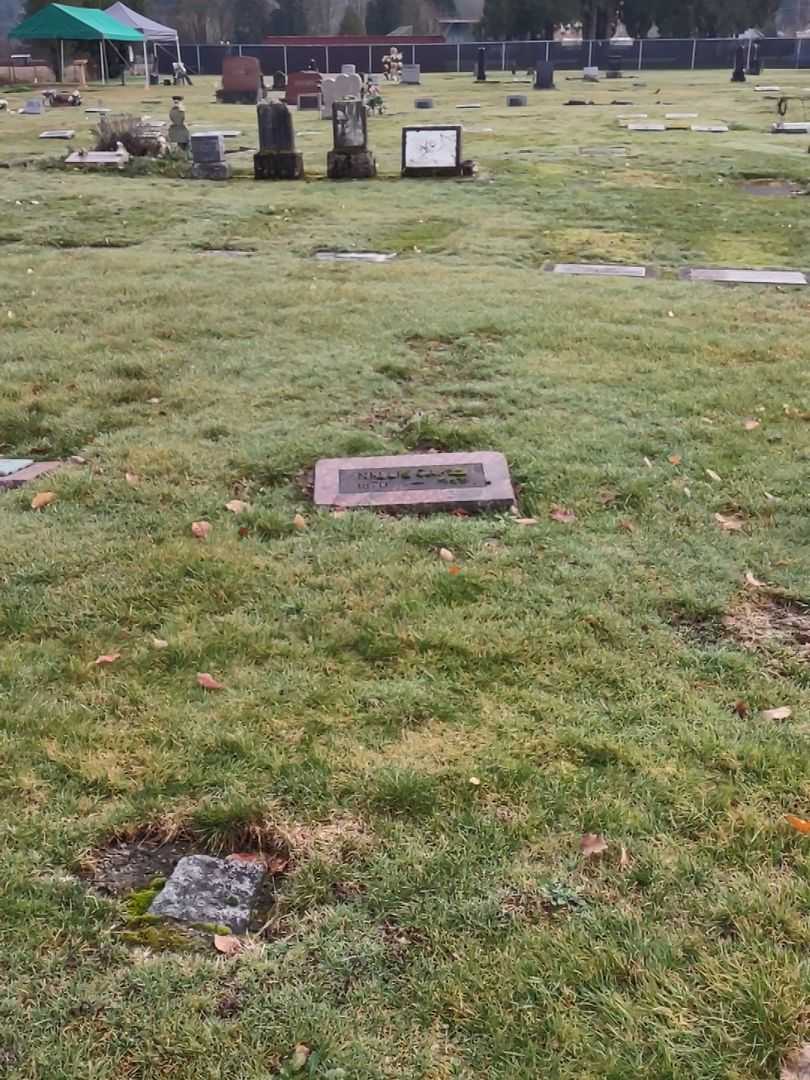Nellie Carle's grave. Photo 2