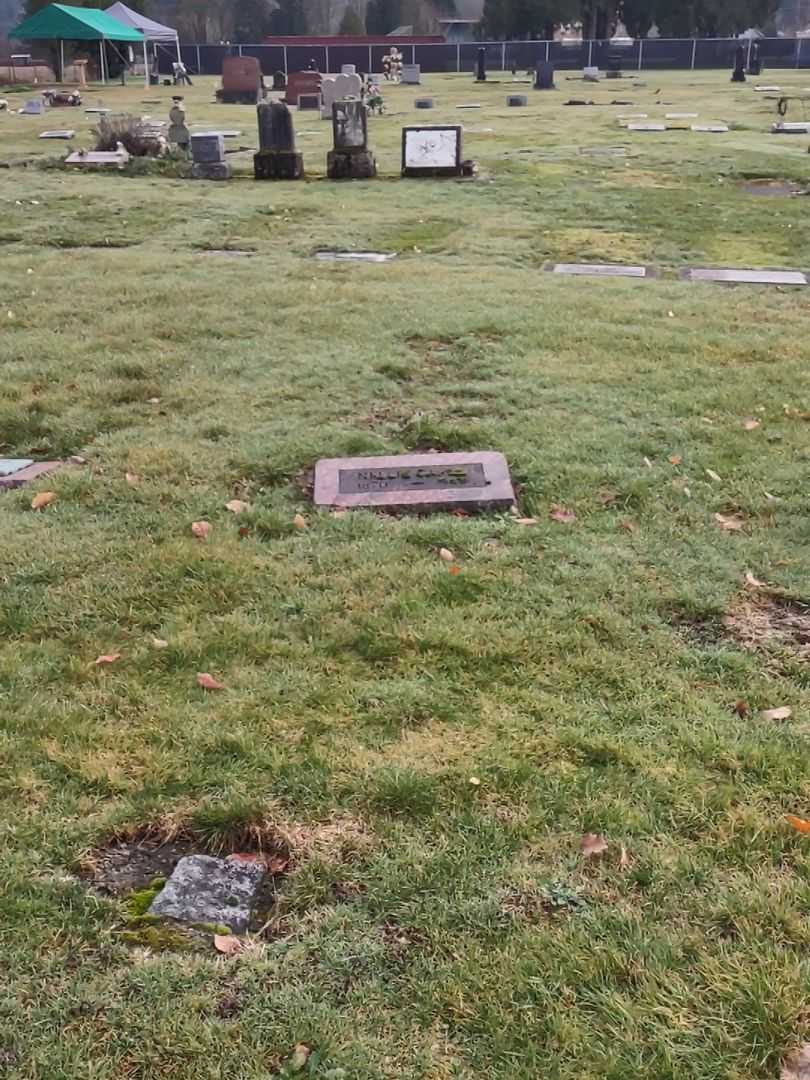 Nellie Carle's grave. Photo 1