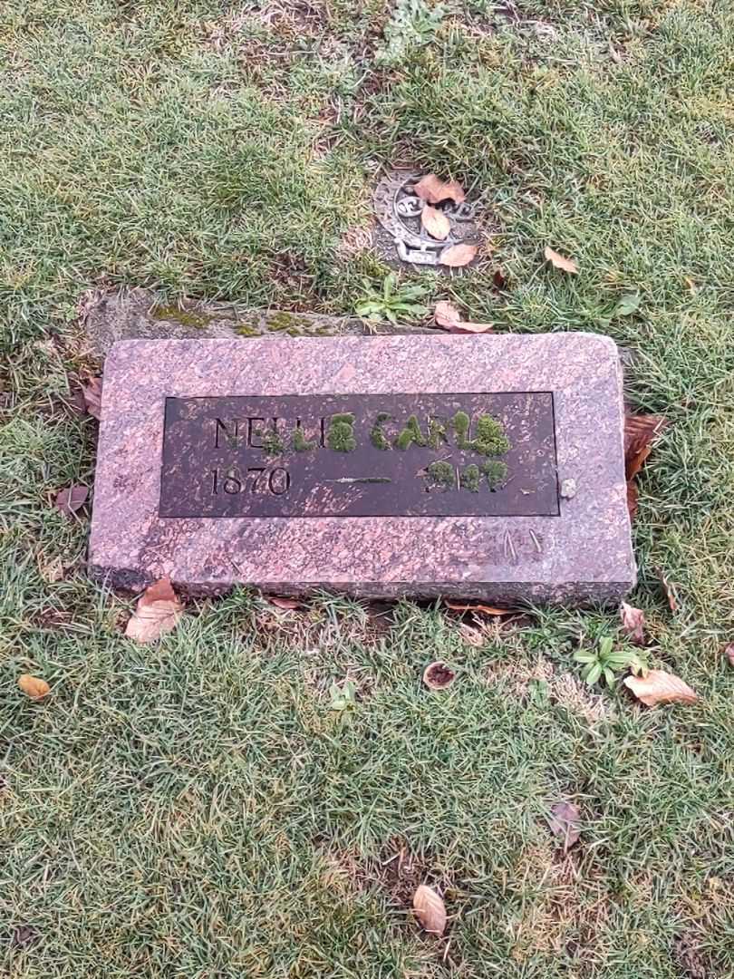 Nellie Carle's grave. Photo 1