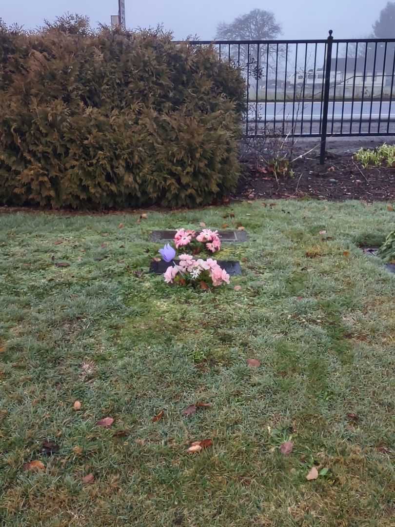 Norman Jay Amos's grave. Photo 3