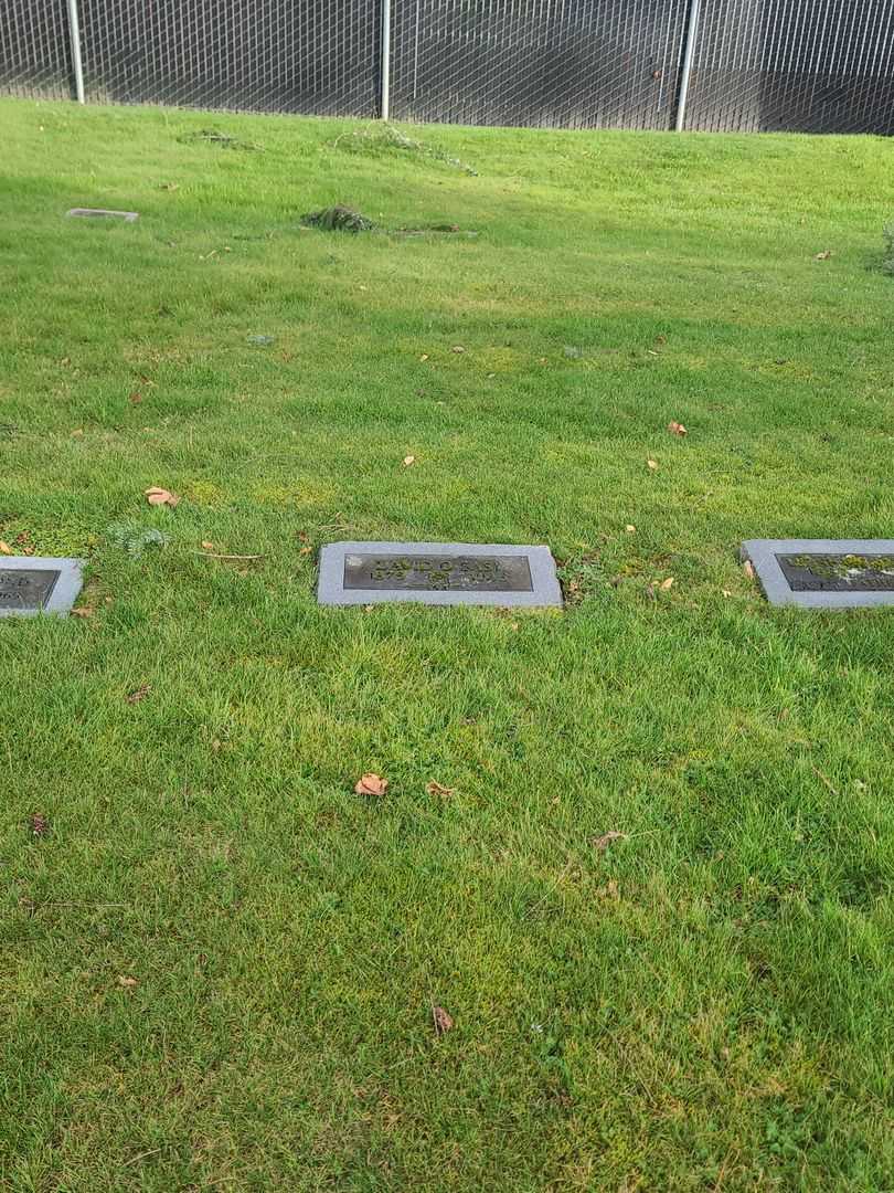 David O. Sasi's grave. Photo 2