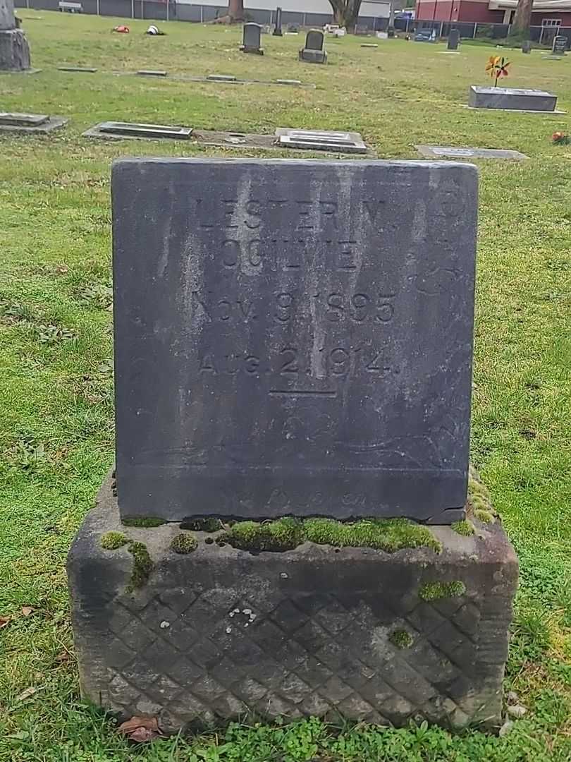 Lester M. Ogilvie's grave. Photo 1