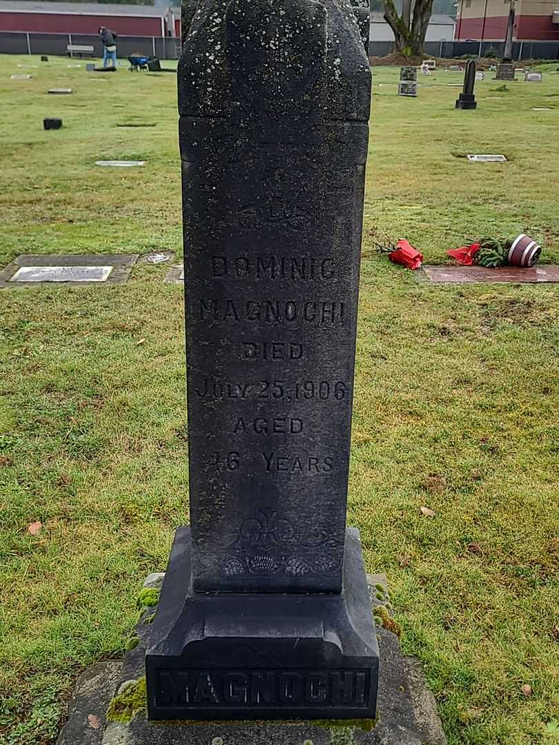 Dominic Magnochi's grave. Photo 3