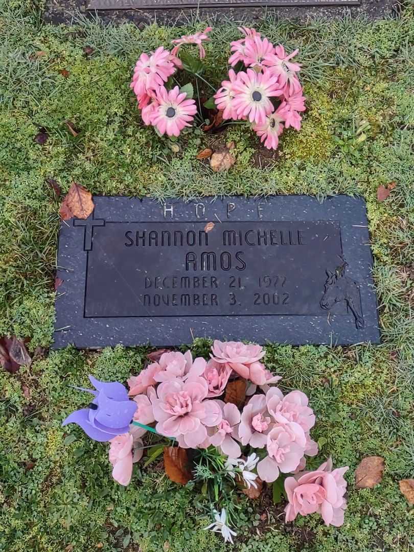 Shannon Michelle Amos's grave. Photo 4