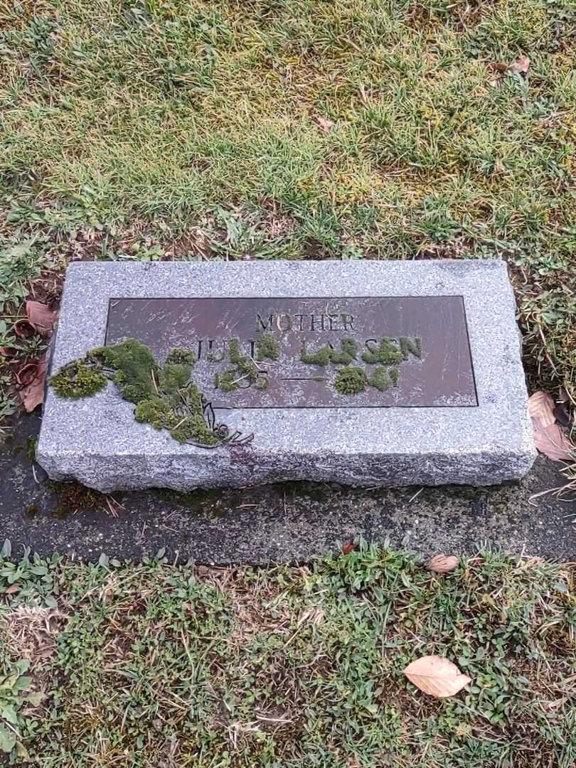 Julia Larsen's grave. Photo 1