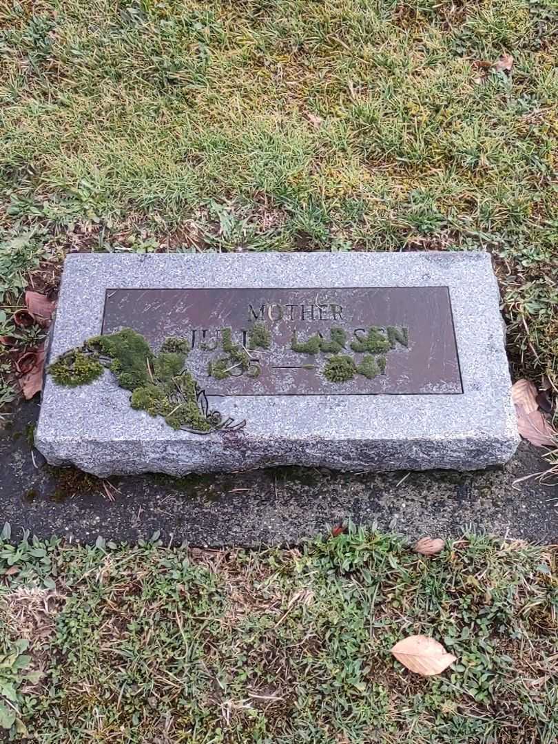 Julia Larsen's grave. Photo 2