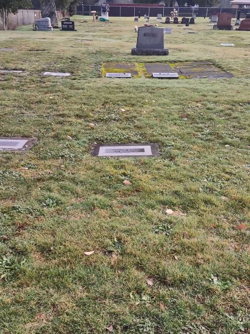 Anton Albert Egli's grave. Photo 2