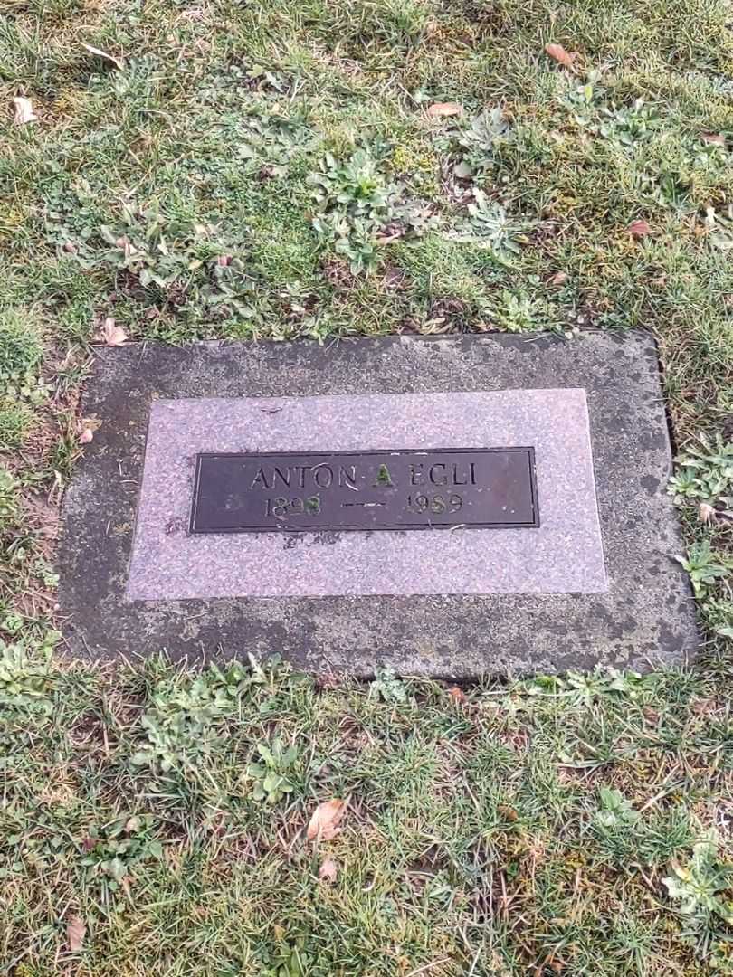 Anton Albert Egli's grave. Photo 1