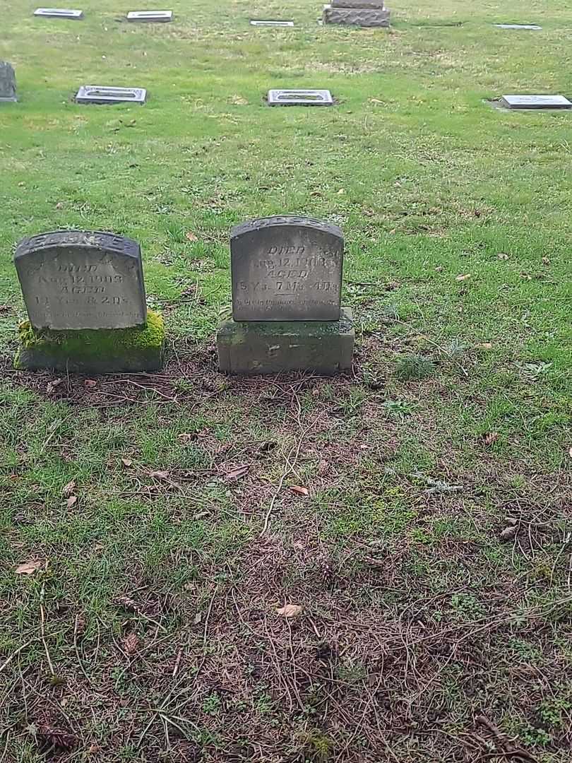 Hope Faulds's grave. Photo 2