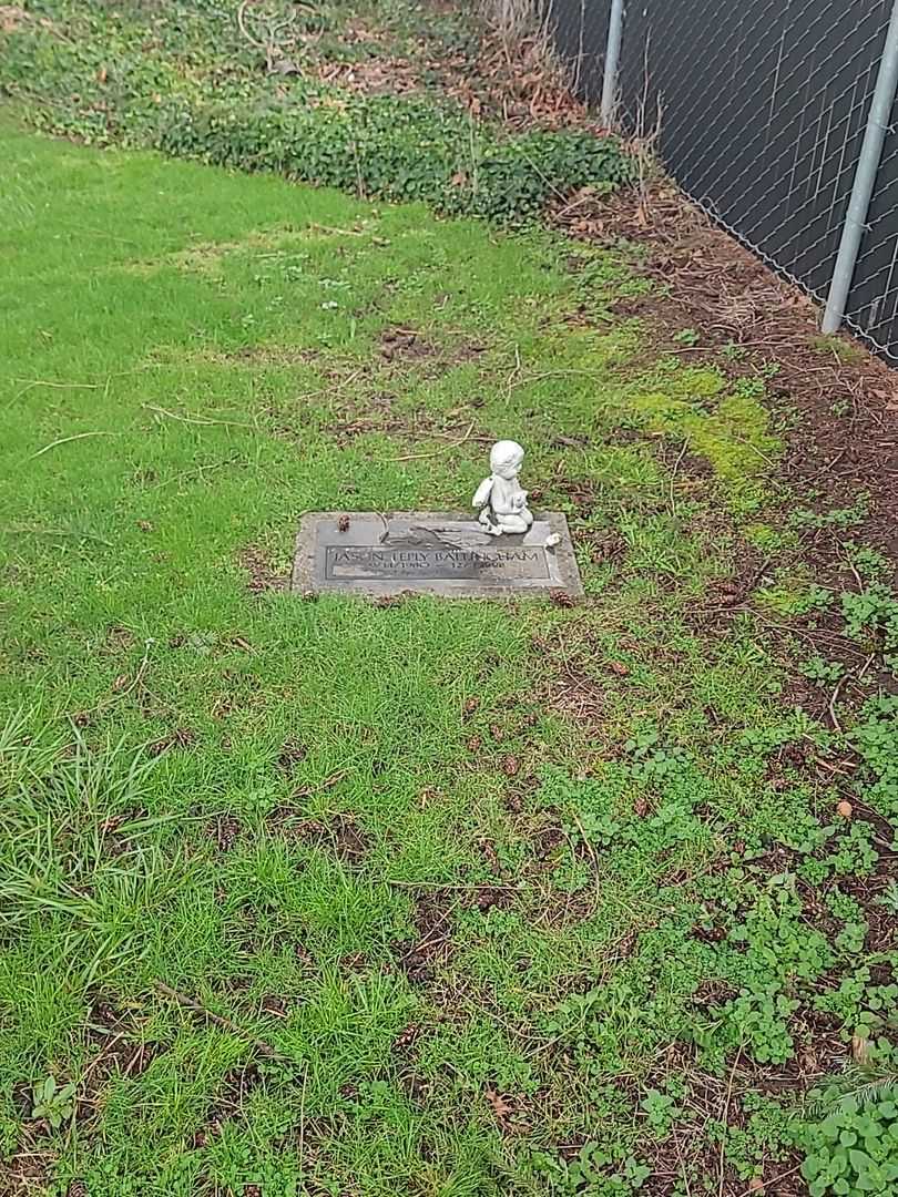 Jason Teply Ballingham's grave. Photo 2
