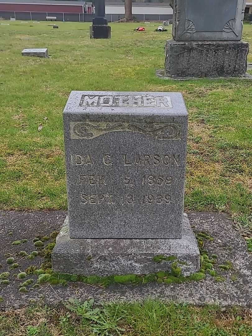 Ida C. Larson's grave. Photo 1