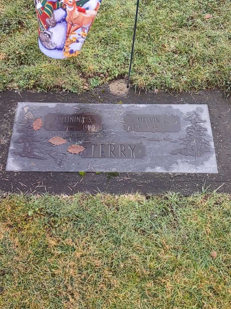 Antinina S. Terry's grave. Photo 1
