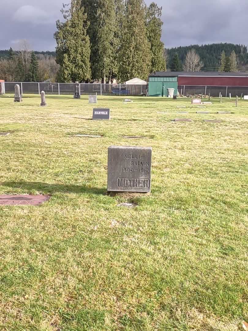 Nellie Galvin's grave. Photo 1