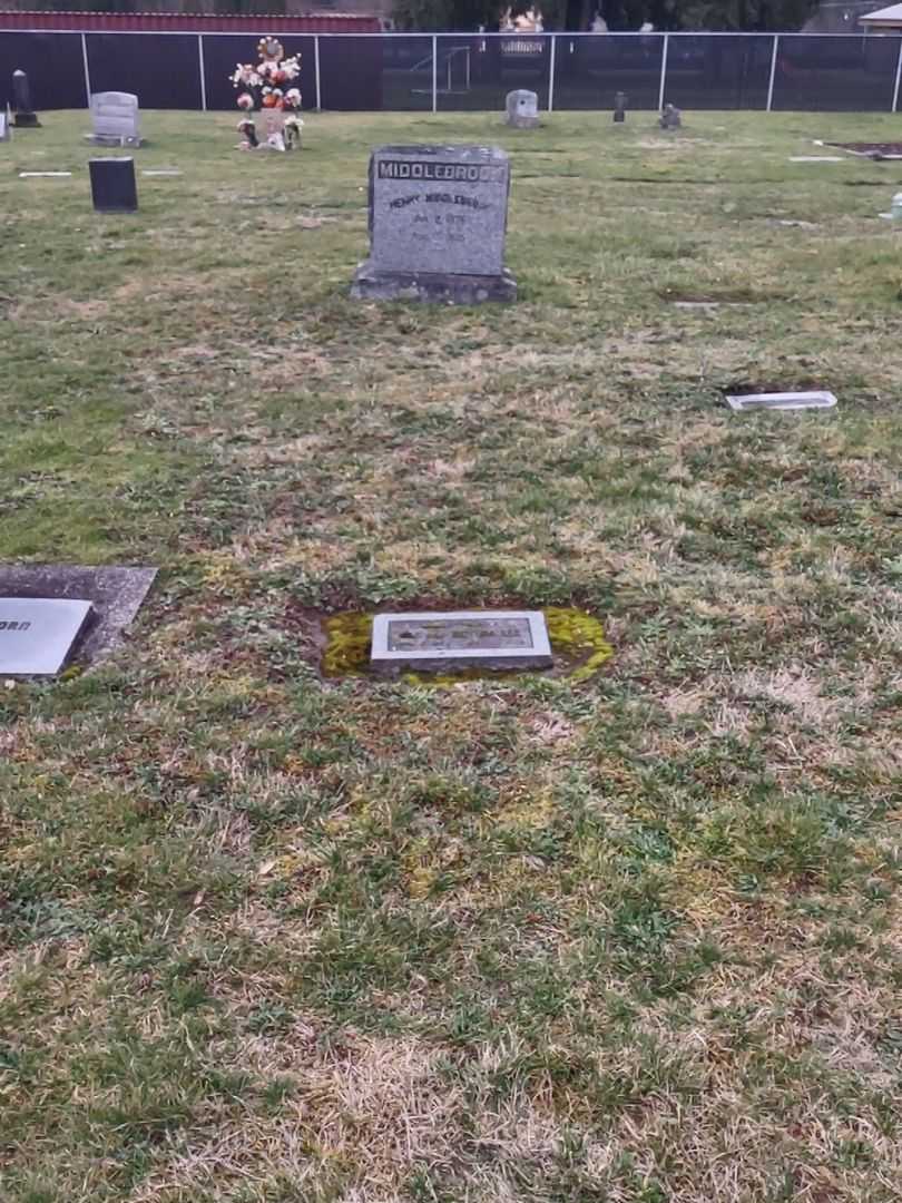 Baby Lee Van Horn's grave. Photo 2