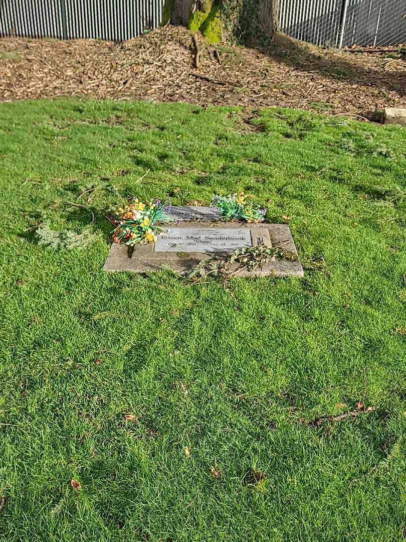 Charles F. Sanderbrink's grave. Photo 2