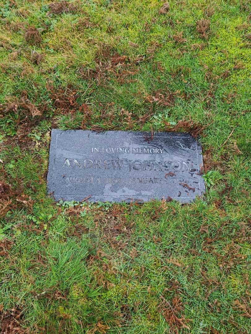 Andrew Johnson's grave. Photo 1