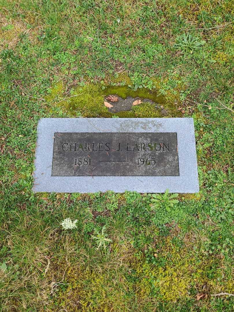 Charles J. Larson's grave. Photo 1