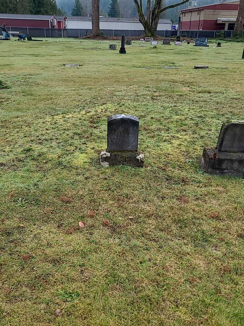 David L. Magnochi's grave. Photo 1