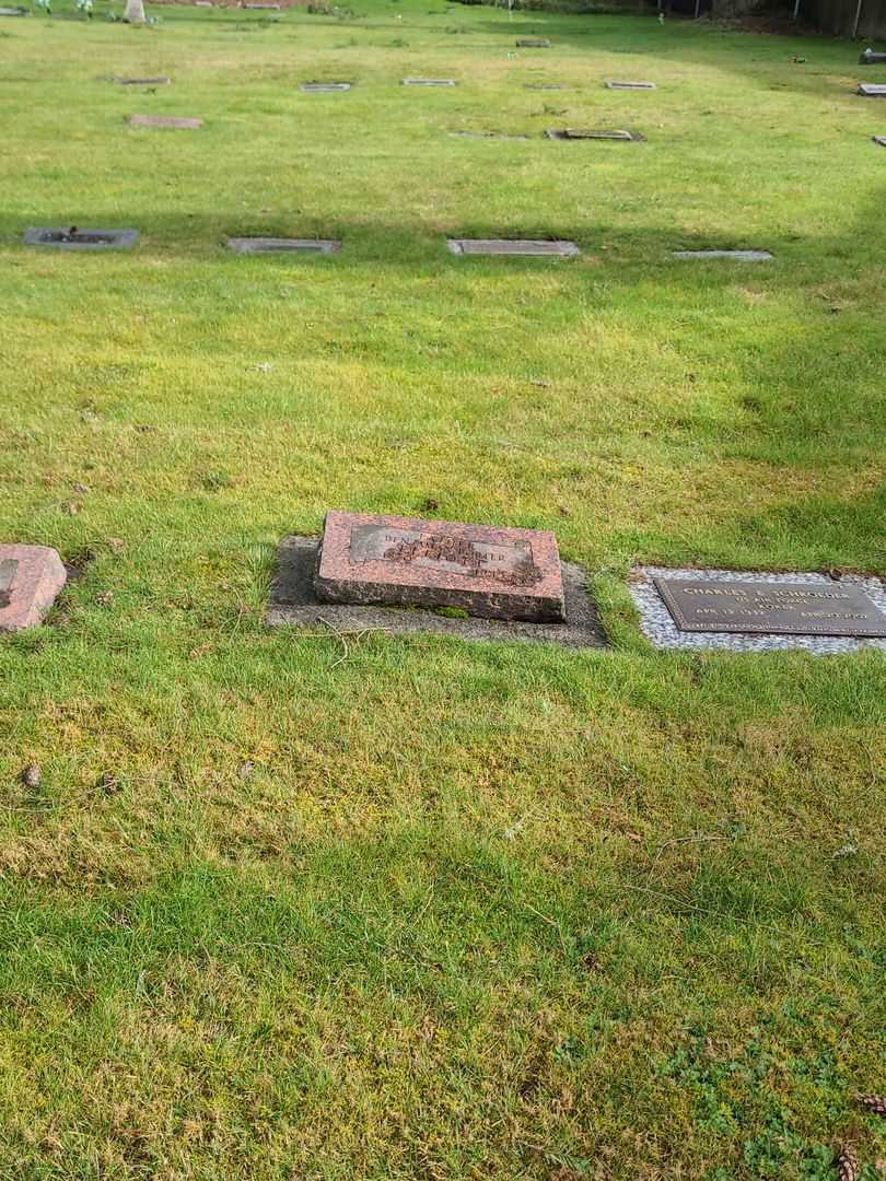 Benjaman Porter Elliott's grave. Photo 1