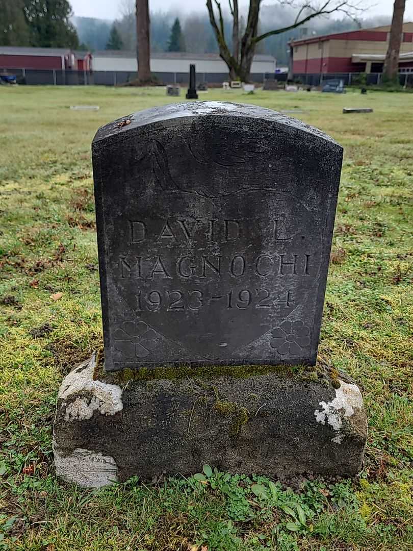 David L. Magnochi's grave. Photo 1