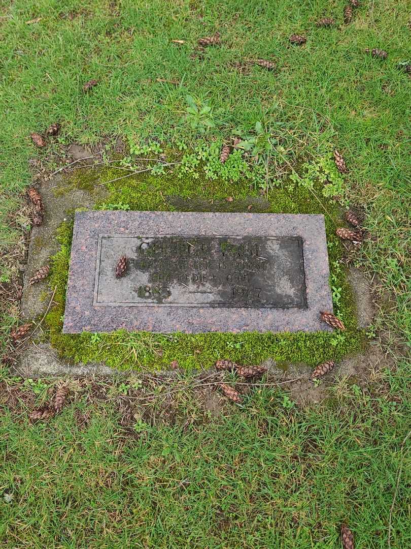 George Faul's grave. Photo 1