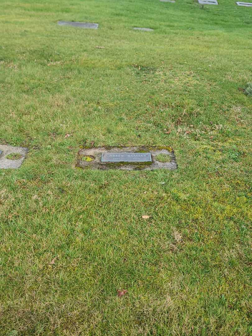 Andrew Qualley's grave. Photo 2
