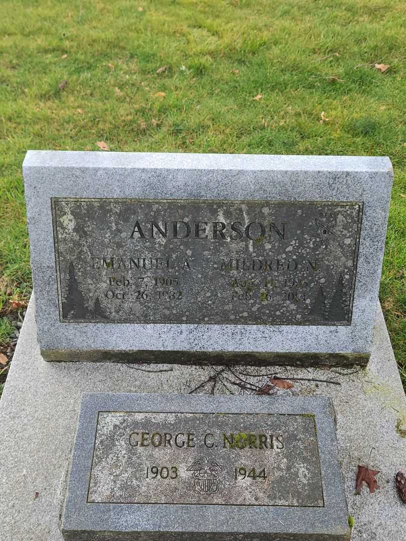 Emanuel A. Anderson's grave. Photo 4