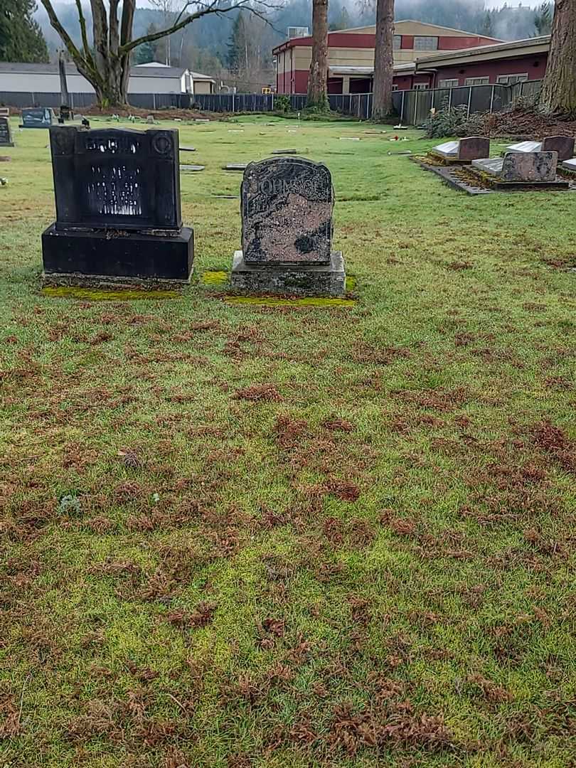 Lena Naslund Johnson's grave. Photo 1