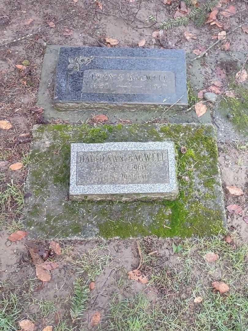 Lucy E Bagwell's grave. Photo 1