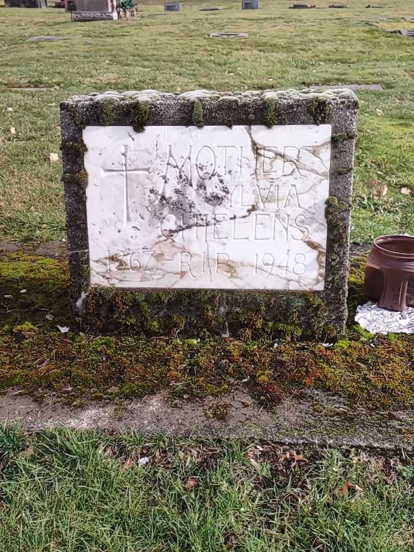 Henri Chielens's grave. Photo 4