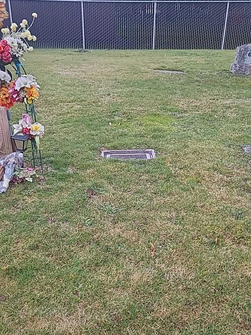 Nancy L. Nelson's grave. Photo 1