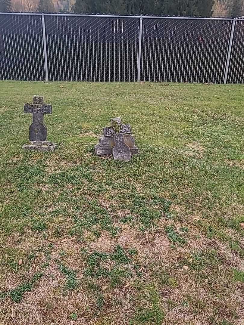 Fannie Gadreau's grave. Photo 1