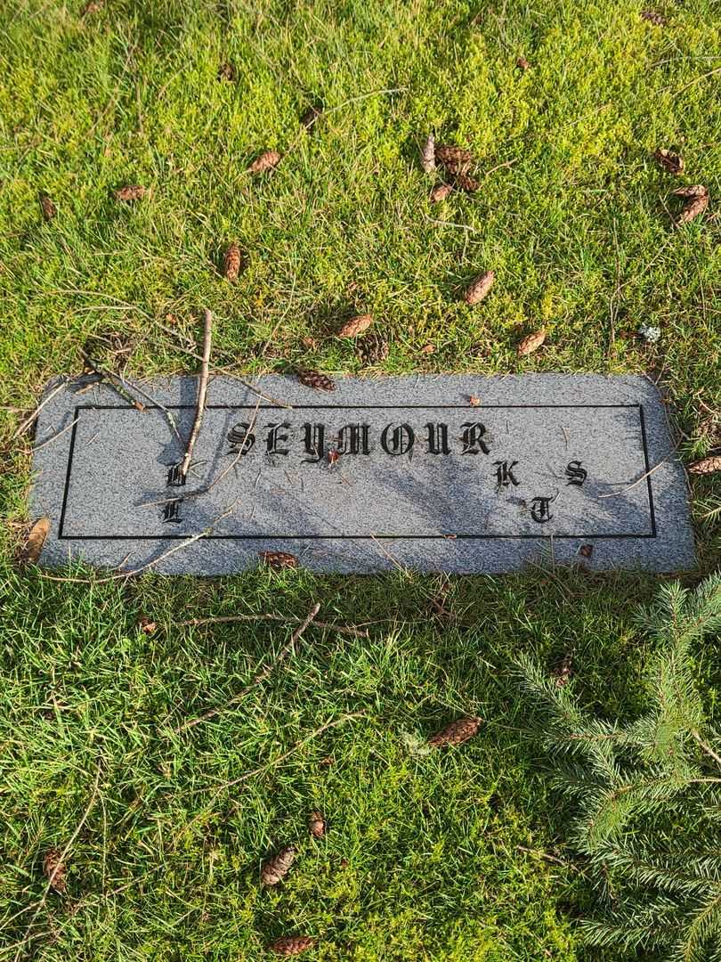 Burt Seymour's grave. Photo 1