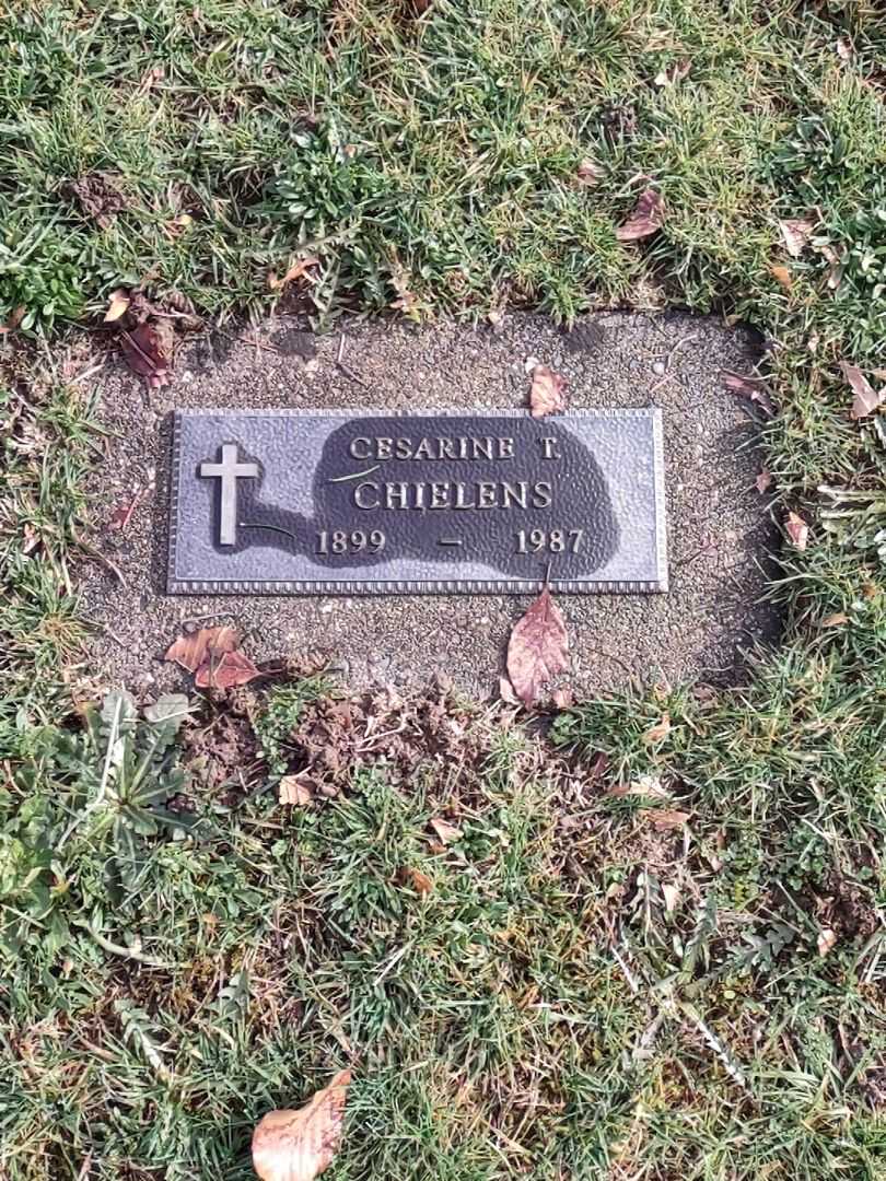 Cesarine T. Chielens's grave. Photo 2