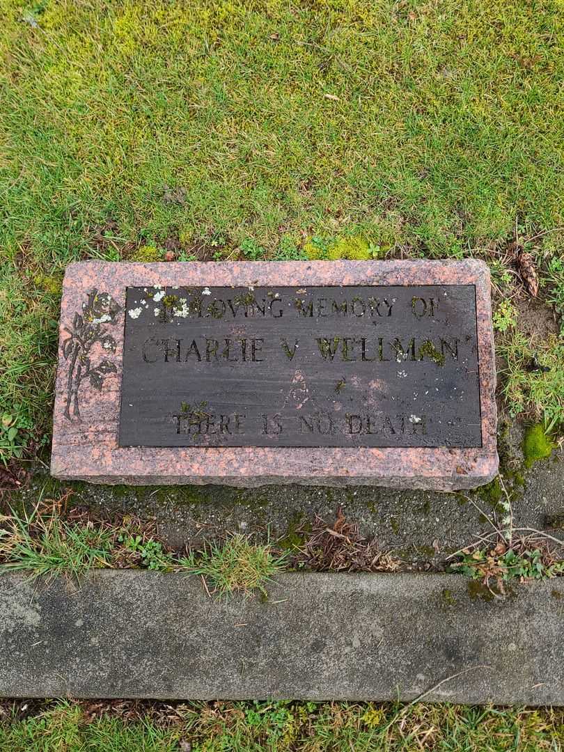 Charlie V. Wellman's grave. Photo 1