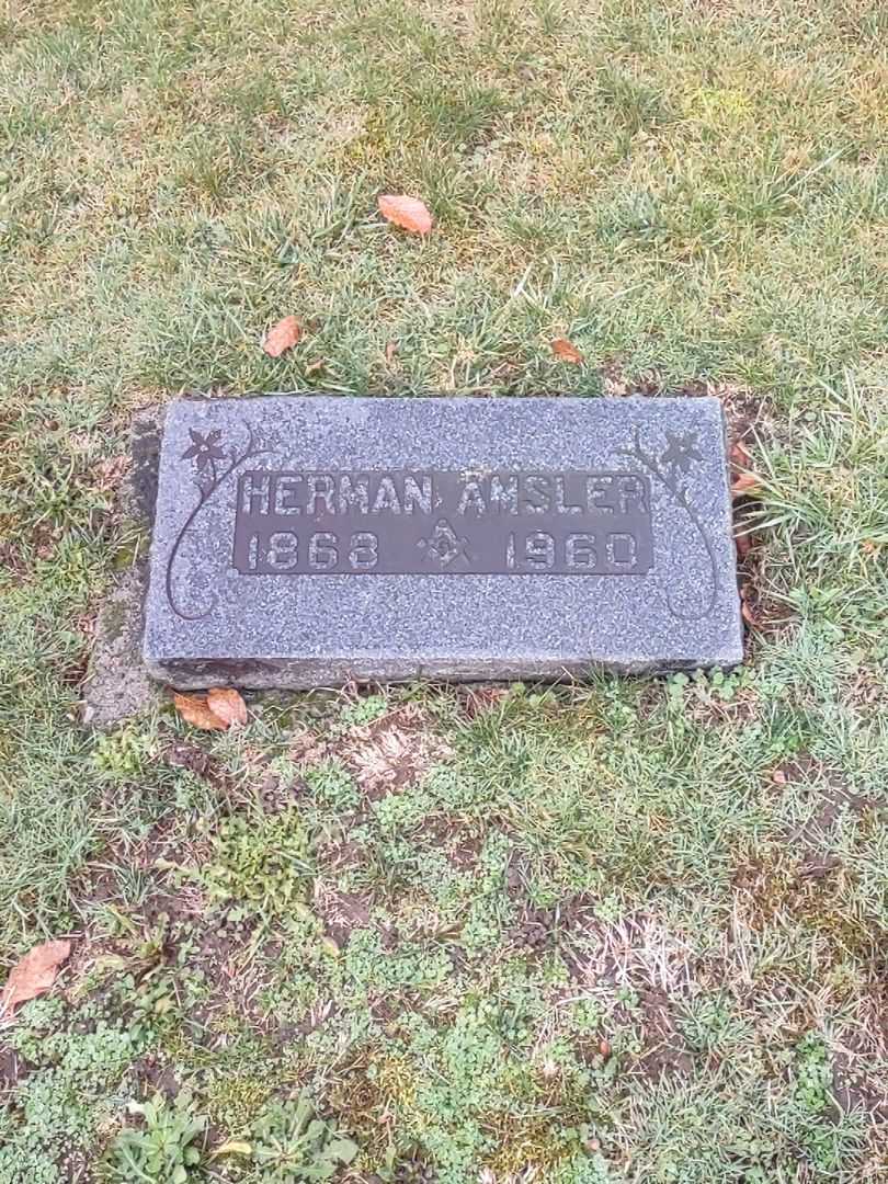 Herman Amsler's grave. Photo 2