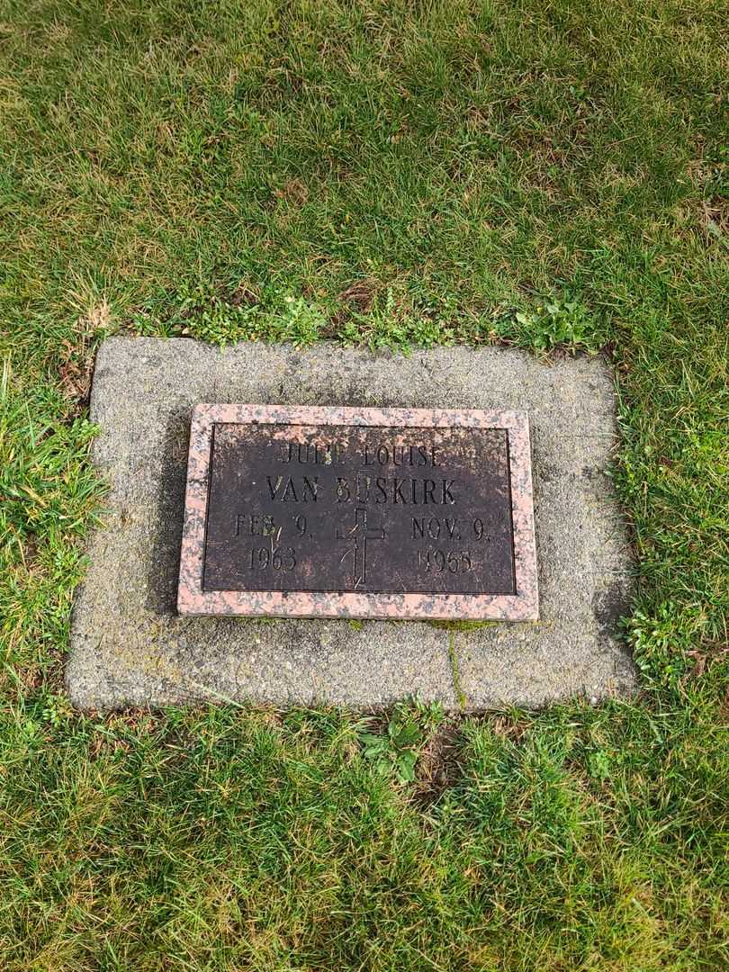 Julie Louise Van Buskirk's grave. Photo 1